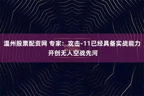 温州股票配资网 专家：攻击-11已经具备实战能力 开创无人空战先河