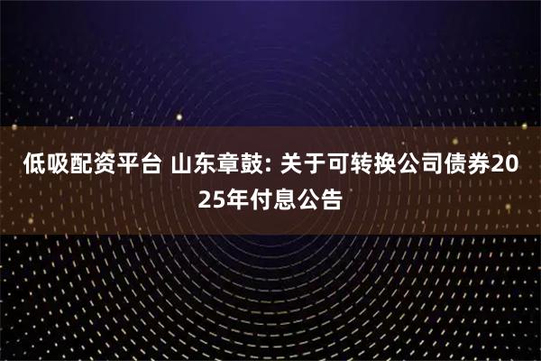 低吸配资平台 山东章鼓: 关于可转换公司债券2025年付息公告