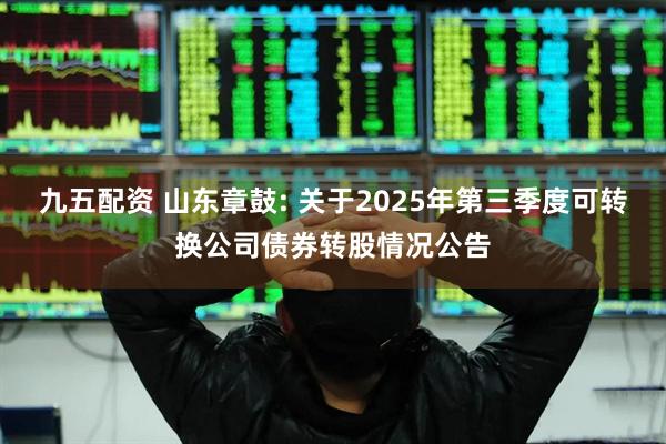 九五配资 山东章鼓: 关于2025年第三季度可转换公司债券转股情况公告
